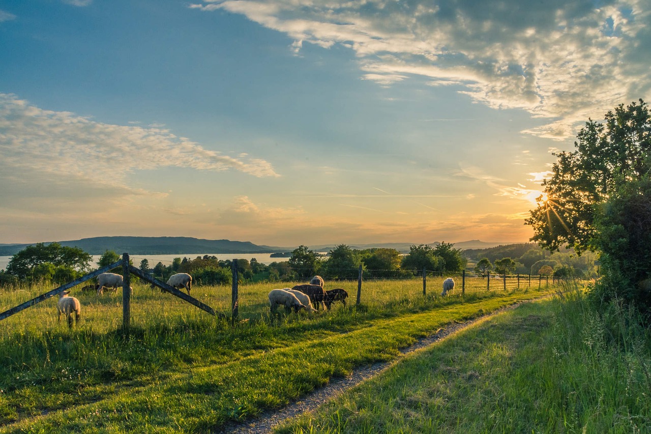 lake-constance-1597503_1280